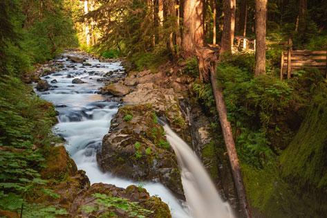 Picture of the Sol Duc river emptying into falls at Olympic National Park used as the Advanced Practice Compact Concerns thumbnail